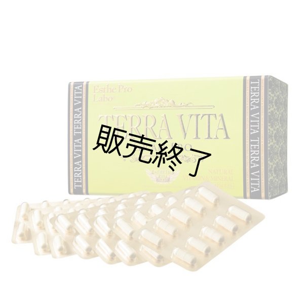 画像2: テラヴィータ (2)