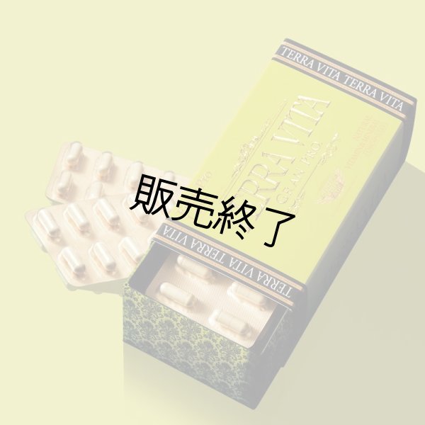 画像1: テラヴィータ (1)