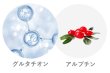 画像5: 肌活マテラマスク (5)