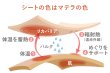 画像3: 肌活マテラマスク (3)