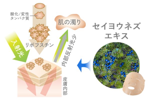 画像4: 肌活マテラマスク (4)